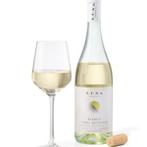 HEMA HEMA Luna Argenta Appassite Bianco - 0.75 L