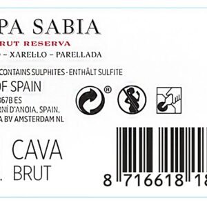 HEMA HEMA Copa Sabia Brut 0.2L