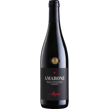 Amarone della Valpolicella Classico 2021 - Allegrini