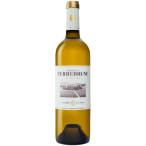 Blanc 2024 - Domaine de Terrebrune