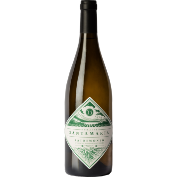 Blanc 2024 - Domaine Santamaria