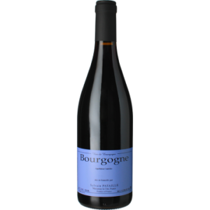 Bourgogne Rouge 2023 - Domaine Sylvain Pataille