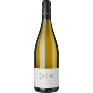 Bourgonne blanc 2024 - Domaine Saint Sylvestre