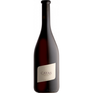 Cayas Syrah Réserve 2020 - Domaine Jean-René Germanier