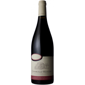 Chambolle Musigny 2022 - Domaine Roblot Marchand & Fils