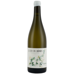 Clos des Muriers 2023 - Domaine Dupré Goujon