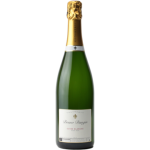 Crémant de Bourgogne - Cuvée Blanche Pinot Noir - Domaine Bruno Dangin
