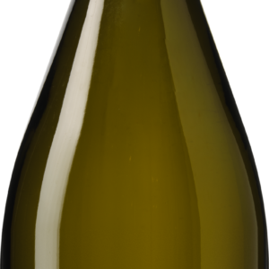 Antica Viti Vino Frizzante