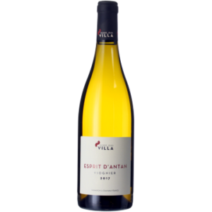 Esprit d'Antan Blanc 2023 - Pierre-Jean Villa