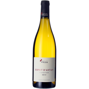Esprit d'Antan Blanc 2023 - Pierre-Jean Villa