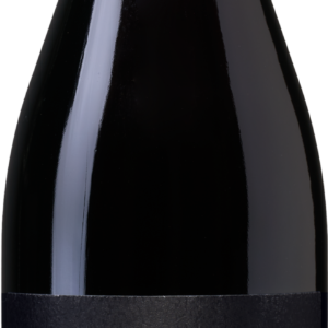 Antica Viti Valpolicella Ripasso