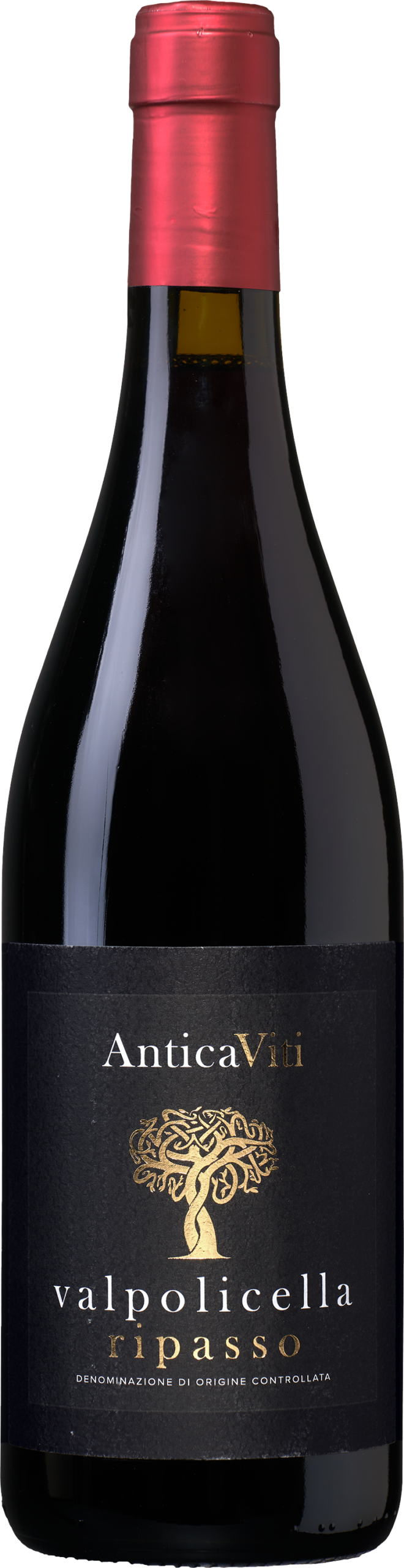Antica Viti Valpolicella Ripasso