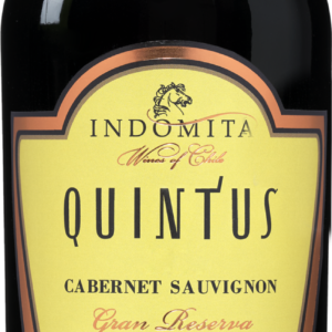 Quintus Gran Reserva Cabernet Sauvignon