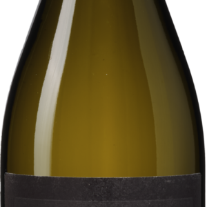 Antica Viti Pinot Grigio delle Venezie