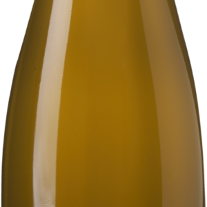 AUT von Elisabeth Grüner Veltliner