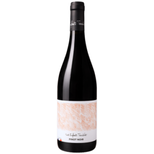 Les Enfants Terribles 2025 - Pinot Noir - Paul Aegerter