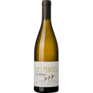 Les Pentes 2021 - Clos de l'Écotard