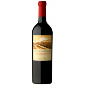Magnum - Adrianna Vineyard Mundus Bacillus Terrae 2021 - Catena Zapata