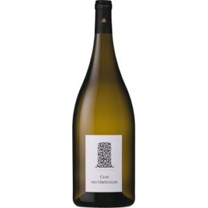 Magnum - Muscadet Sèvre et Maine 2025 - Clos des Orfeuilles