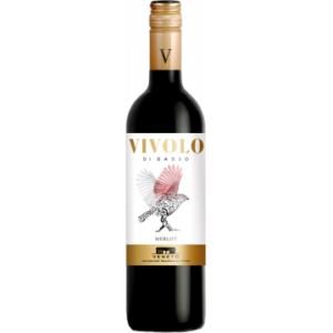 Merlot 2024 - Vivolo di Sasso