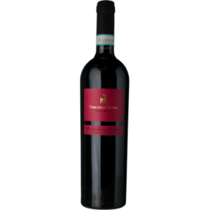 Montepulciano d'Abruzzo Riserva Terre della Brunda 2021 - Botter