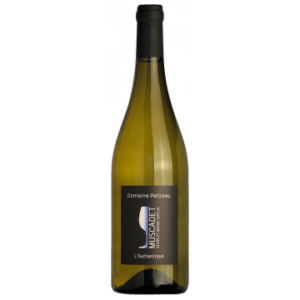Muscadet Sèvre et Maine Sur Lie - L' Authentique 2025 - Domaine Petiteau