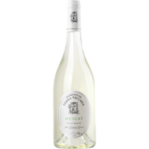 Muscat 2025 - Domaine Terra Vecchia