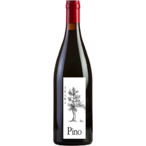 Pino 2024 - Ponce