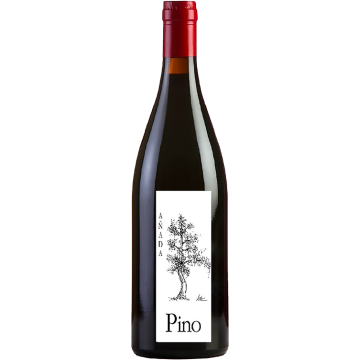 Pino 2024 - Ponce