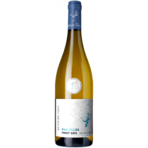 Pinot Gris - Parcelles 2025 - Réthoré Davy