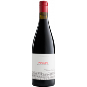 Pizarra 2022 - Pegaso - Telmo Rodríguez