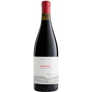 Pizarra 2022 - Pegaso - Telmo Rodríguez