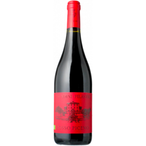 Rosso Piceno 2024 - Saladini Pilastri