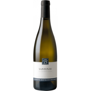 Santenay Blanc 2024 - Domaine Bertrand Bachelet