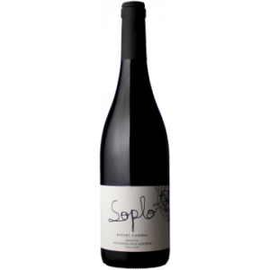 Soplo 2024 - Rafael Cambra
