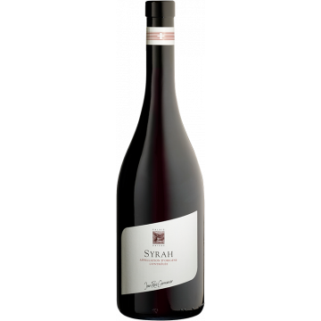 Syrah 2023 - Domaine Jean-René Germanier