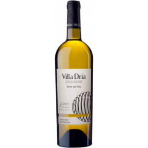 Terre de Feu 2023 - Villa Dria
