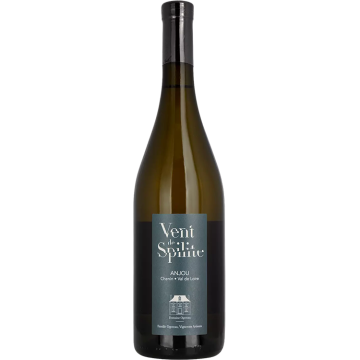 Vent de Spilite 2024 - Domaine Ogereau