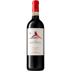 Vigna Montaperto Gran Selezione 2019 - Fattoria Carpineta Fontalpino