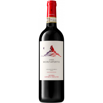 Vigna Montaperto Gran Selezione 2019 - Fattoria Carpineta Fontalpino