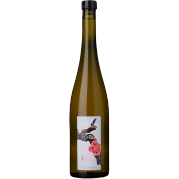 Vigne en Rose 2023 - Vignoble du Rêveur