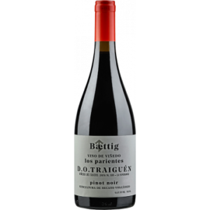 Vino de Vinedo Los Parientes Pinot Noir 2023 - Baettig