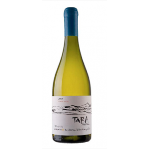 White Wine N°3 - Sauvignon Blanc 2022 - Tara