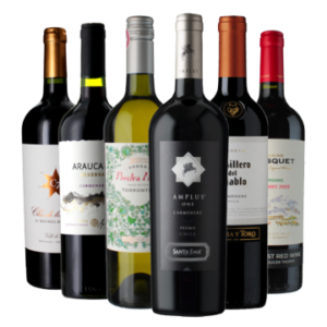 Wijnpakket - Bestsellers Argentinië & Chili