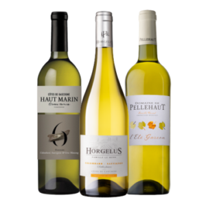 Wijnpakket - Sud-ouest Sterren - Côtes de Gascogne
